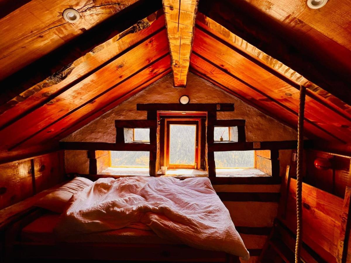 Parvatis Lap Luxury Hostel & Camps كاسول المظهر الخارجي الصورة